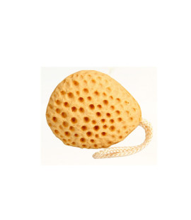 RELAX BATH SPONGE