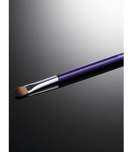 SPECIAL MAKE UP BRUSH