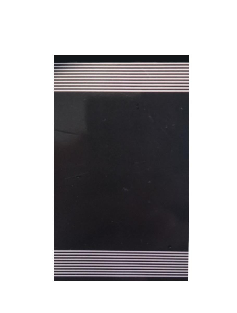 Amelia navy
