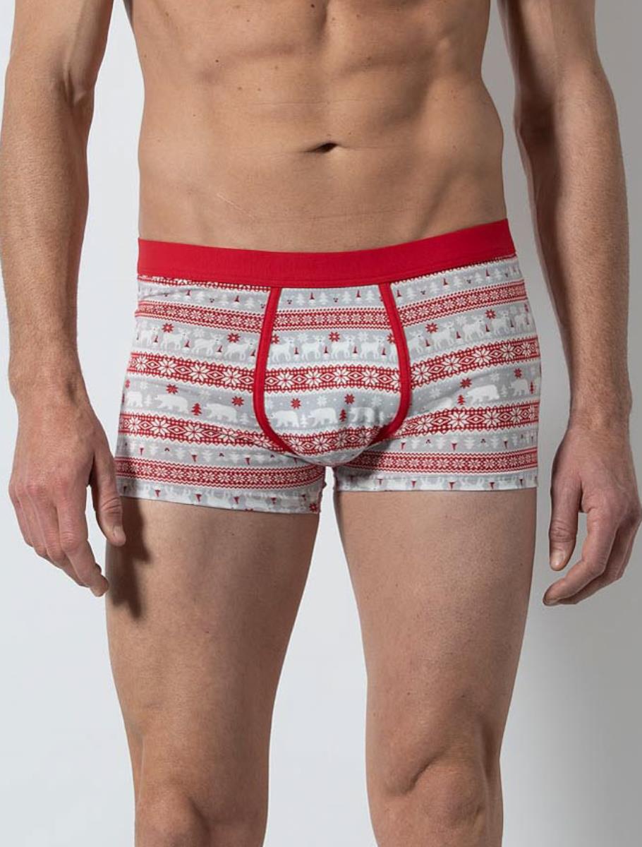 Boxer - happy polar print