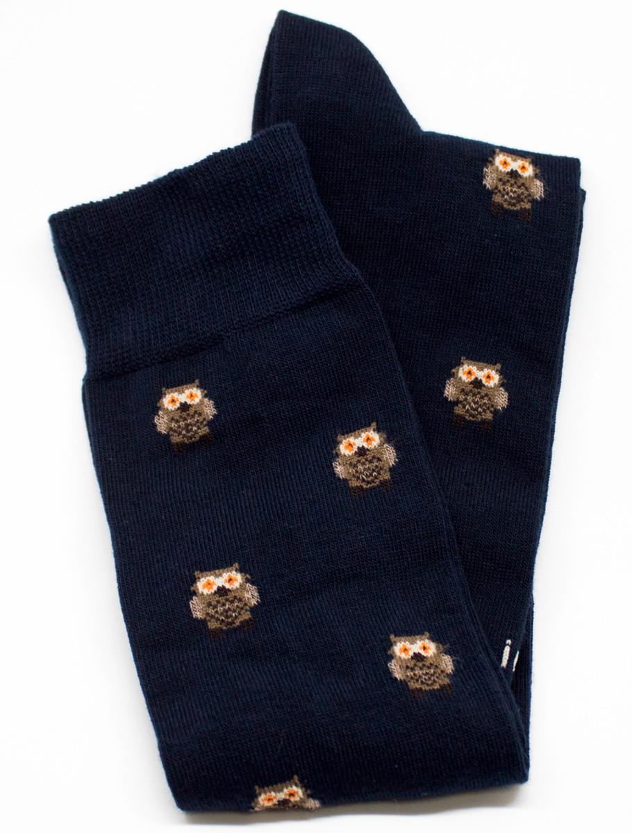 New model owl blue