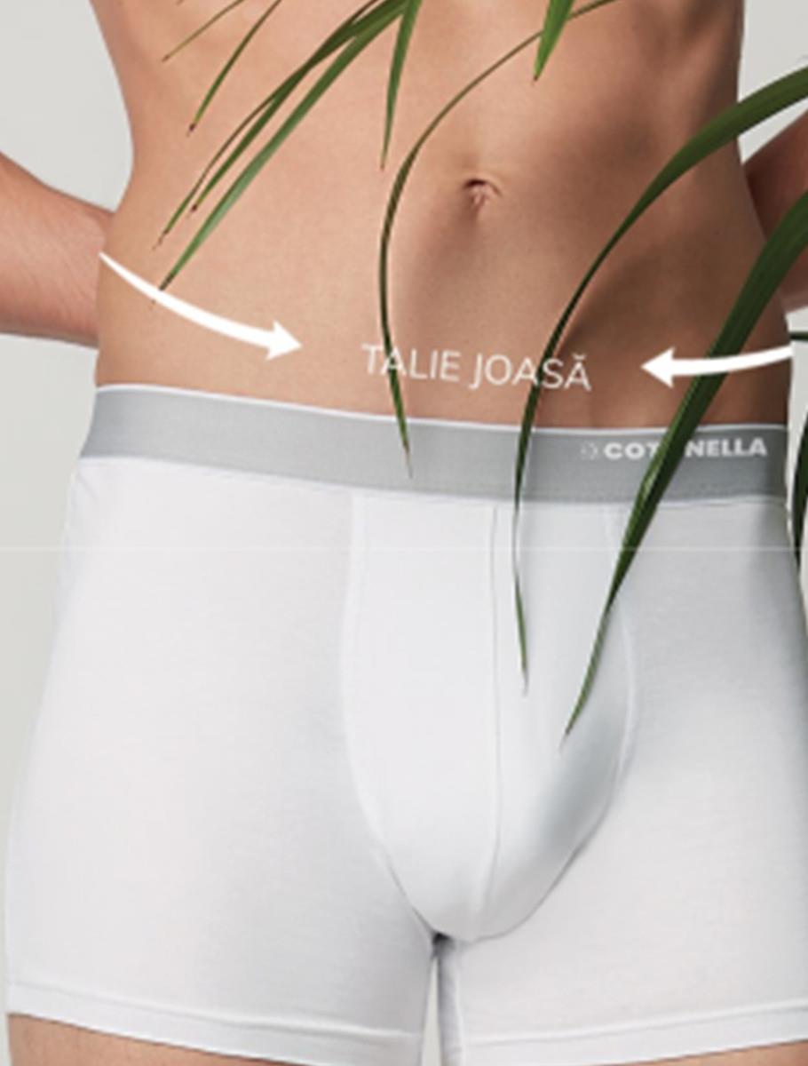 Boxer - purity boxer white