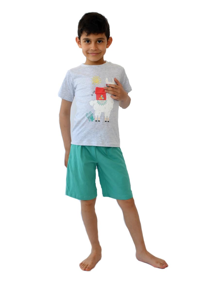 Set zi - set sunglasses llama green